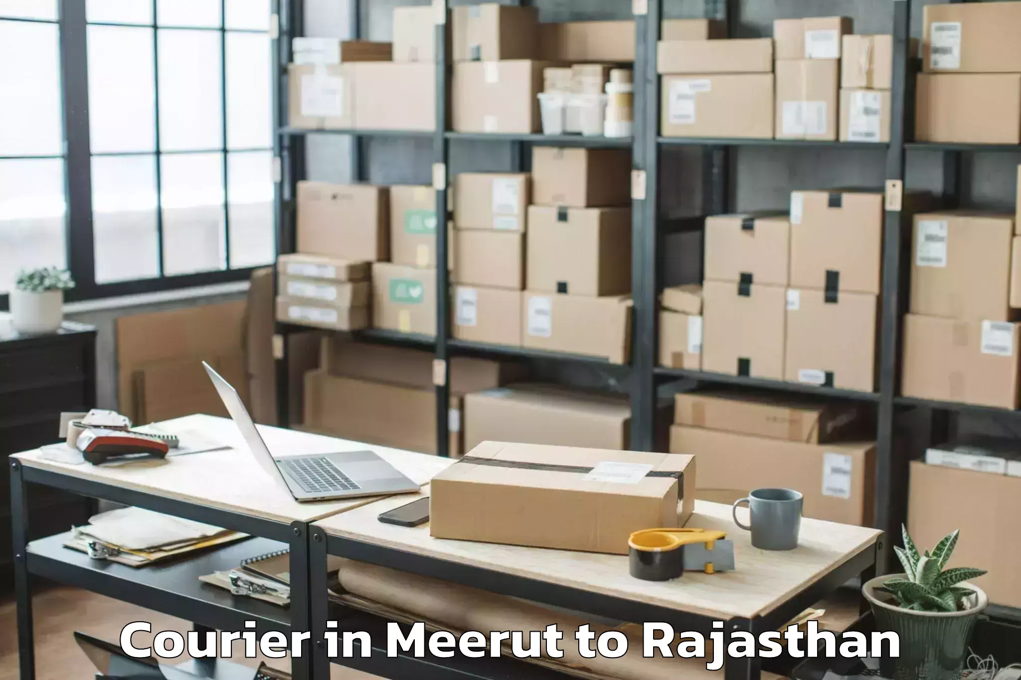 Professional Meerut to Bandikui Courier